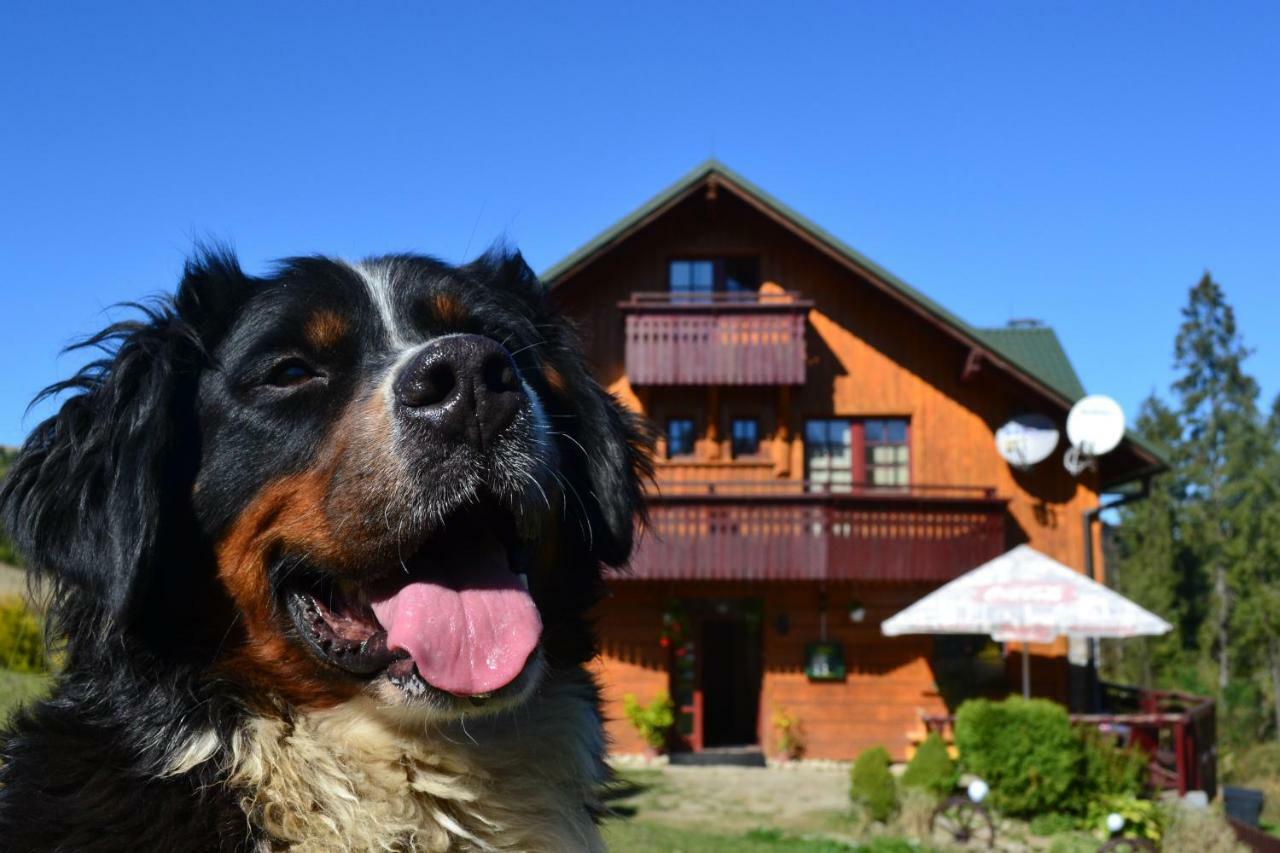 Penzion Dinda Stará ľubovňa Dış mekan fotoğraf